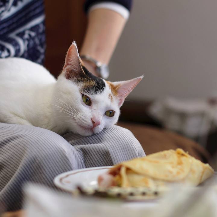 835f7b27 1ed9 4cdf 9a08 021b451773c6 1562287616165