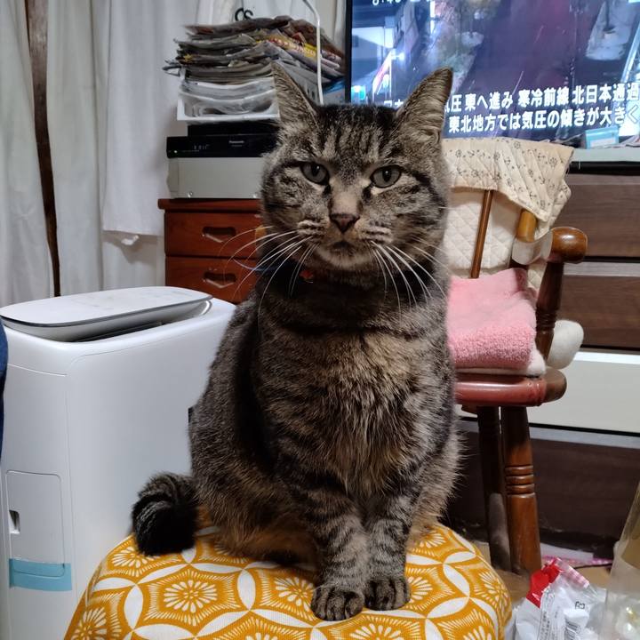 835f9e87 711f 4bdf a7f1 3eebc127d5a5 1703589741791