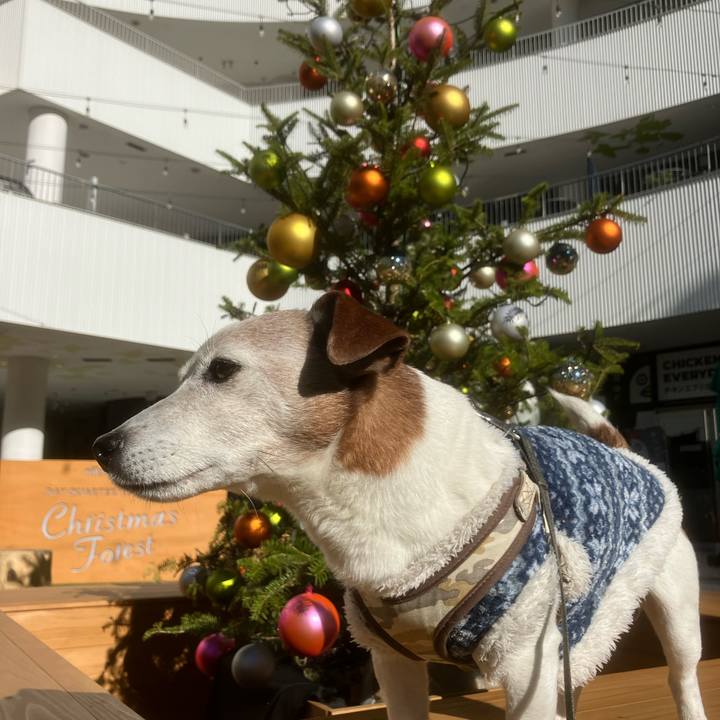 835fc41a 3522 4e5d 9d83 36cdec6dd5ec 1764979313696