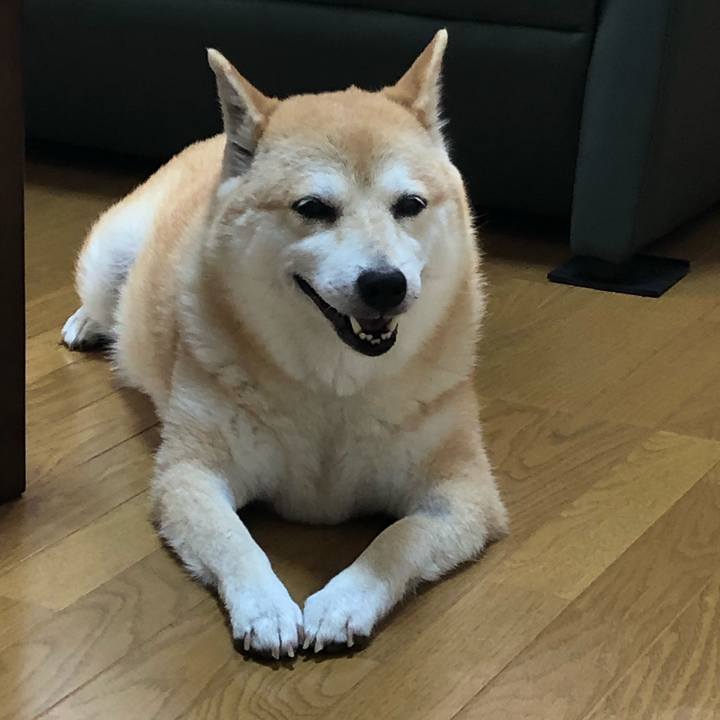 835fd304 4151 4f80 8f2b cfda3a6bf3d6 1561808762990