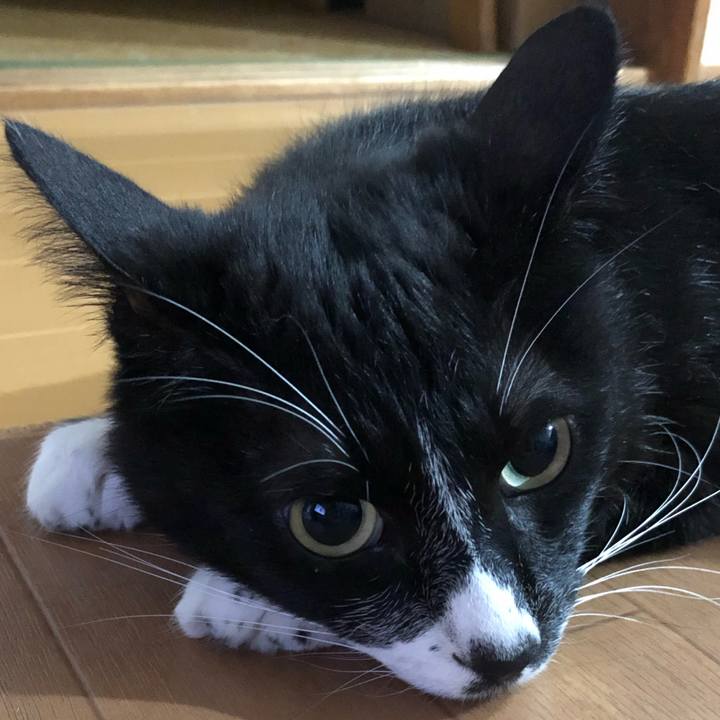 835fd83e 24ab 4d14 8dc4 a9b3cd2ad3d9 1593229569127