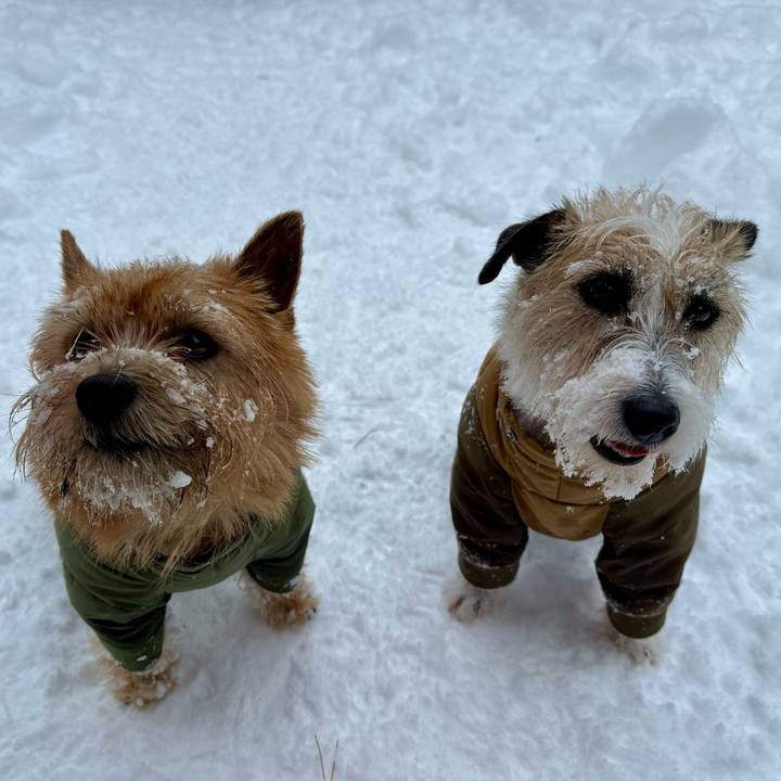 836012cc 13ce 4cec ae08 cadc4d97a456 1738418279656