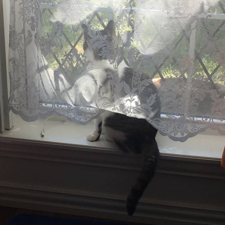 83601f99 76e6 4001 9014 5cd3b946caef 1664323306770