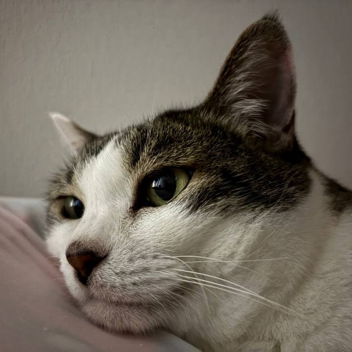 83603513 514b 4630 a893 4e0f96a28fa3 1752407719089