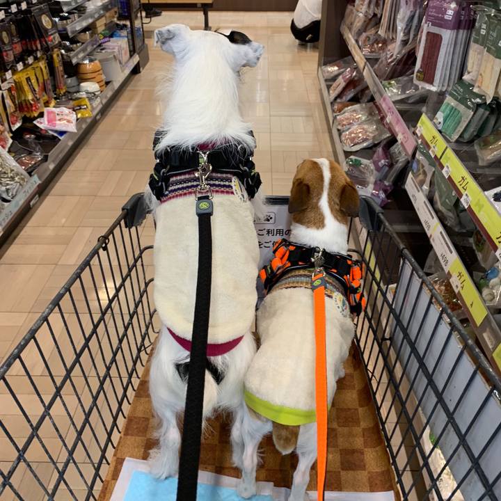 836041e8 7aaf 4a45 ae74 b7b18b61d088 1545546287757