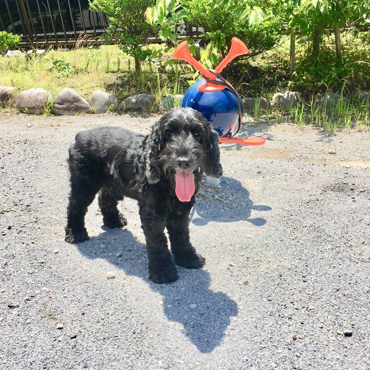 83606307 04df 4d3d ab06 d7bef7050ad5 1561010518083