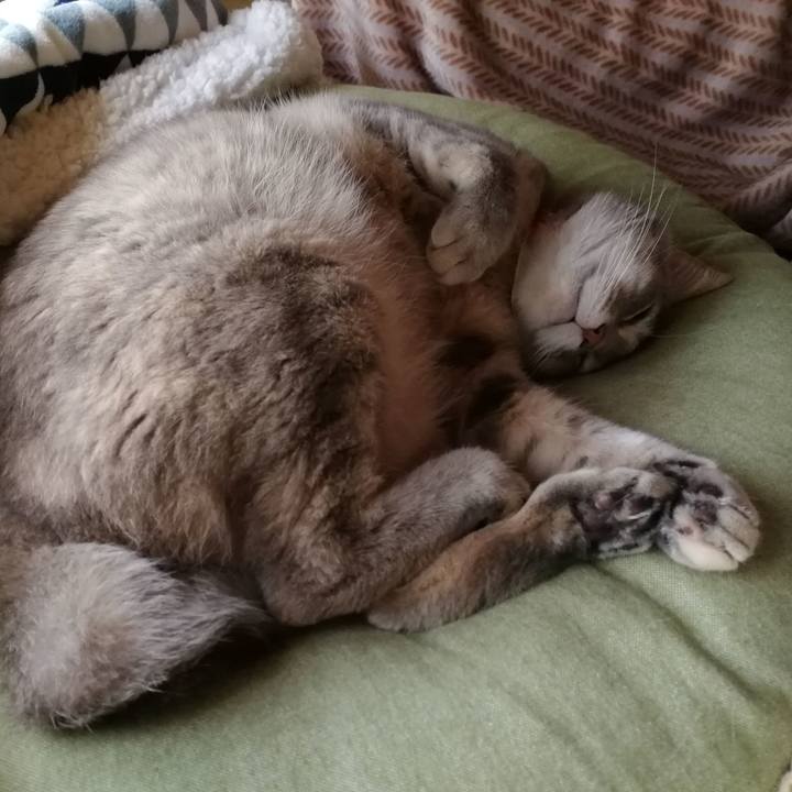 836063f7 b156 43bc b775 25562042bd4b 1553563763248