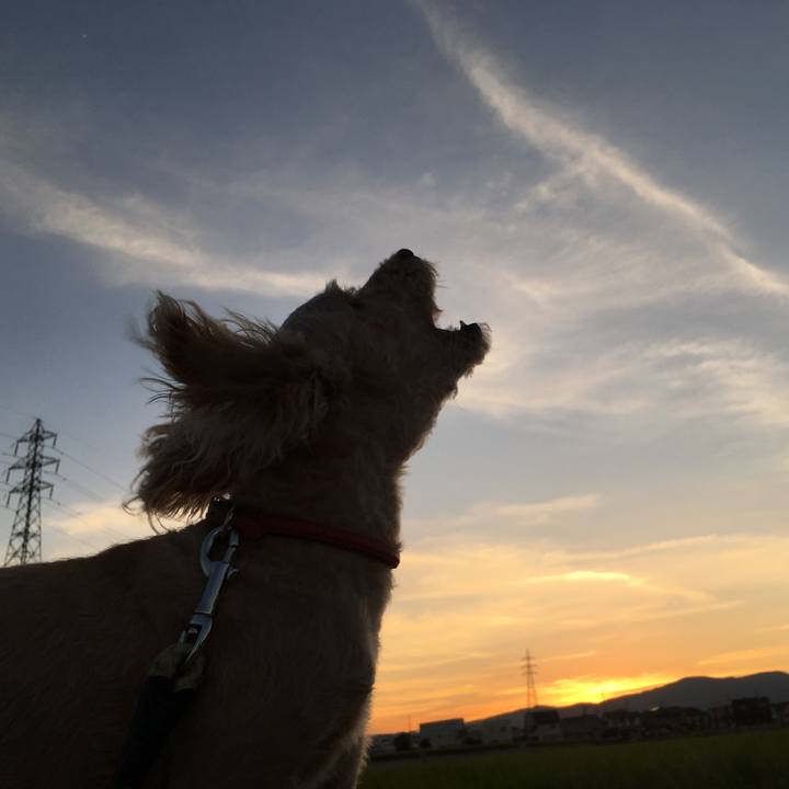 83608a2d dad0 4856 9f1f 05cbb2efa586 1533724309793