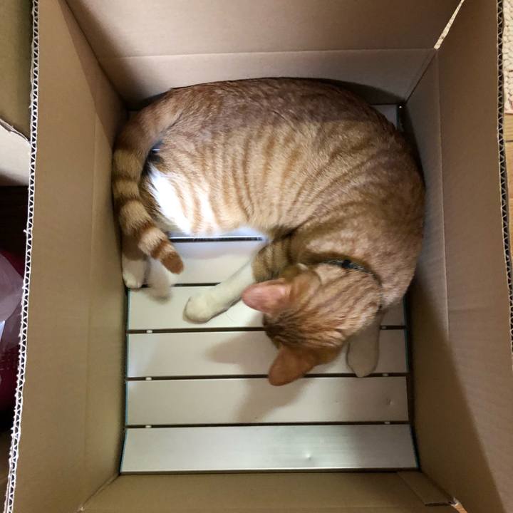 8360c1f5 a066 4416 b5fc 4f2498170f16 1557408864611