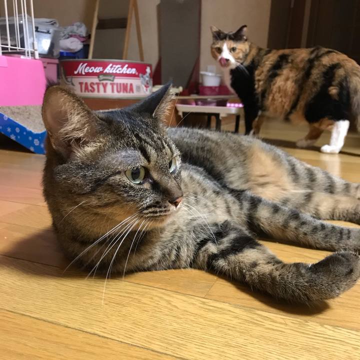 8360ee25 f37c 4e56 ad22 d1e583f9cca3 1566009107420