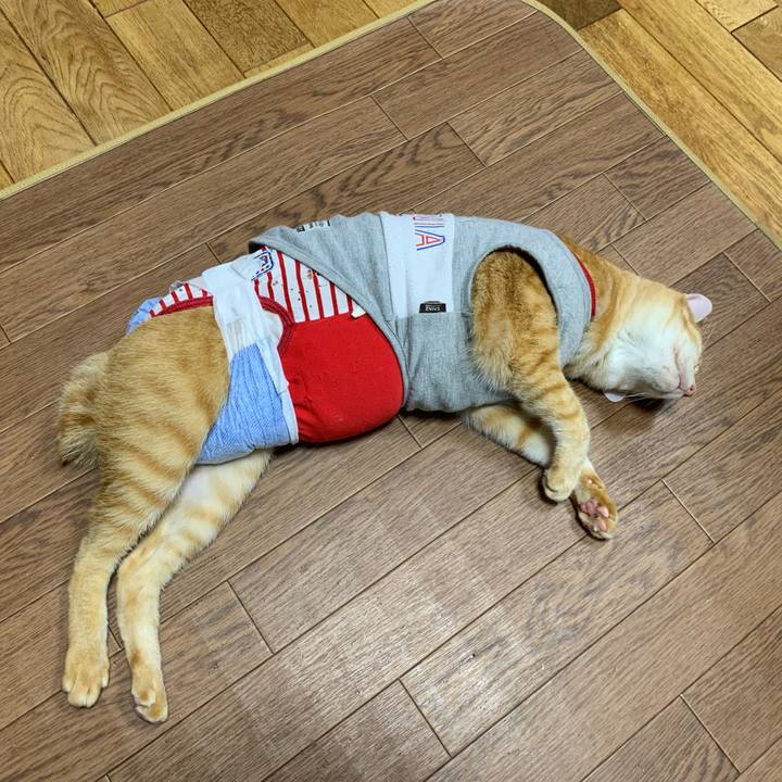 8360fa0b 0709 4031 afba c396d94f3a07 1632572590297