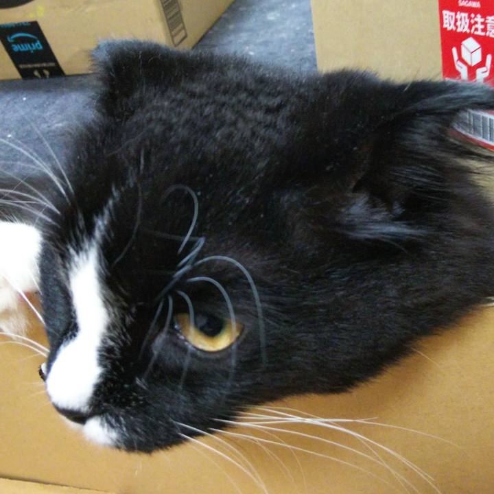 83610e68 946a 43ac a207 18f65d59b182 1650974146112