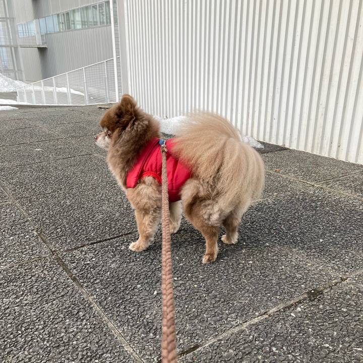 83612490 0412 44d2 a2fa 5886e6d9f31c 1647129166183