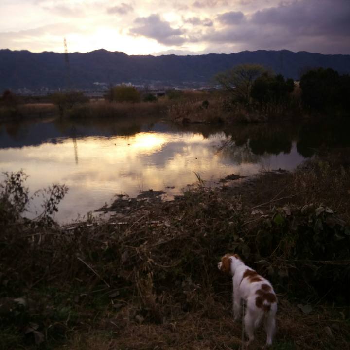 83612f4d 6436 4fad add5 d2098296b181 1513640366599