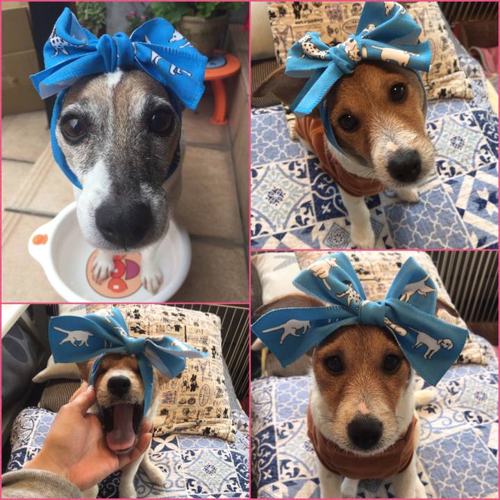 83614e3a 1e12 4fa9 8a76 2fe4e7e32324 1554857380162