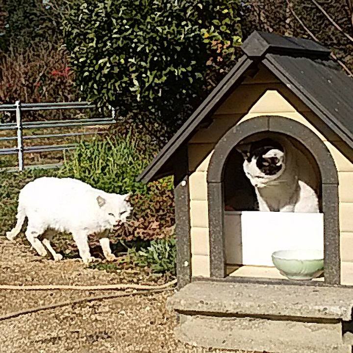 8361801e c5f7 4a7c ac91 b383927a1d6d 1513327268921