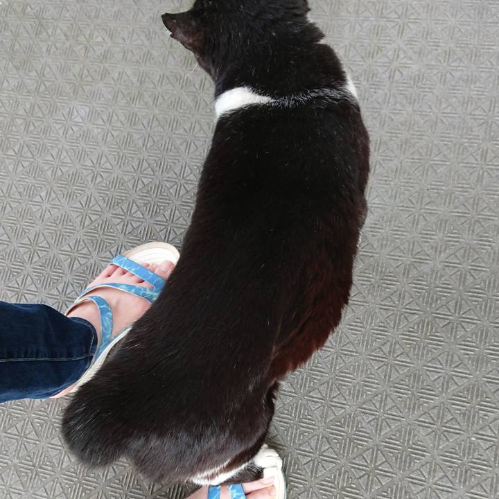 8361cebc 3c87 42b7 8594 54db871c7639 1590829980063