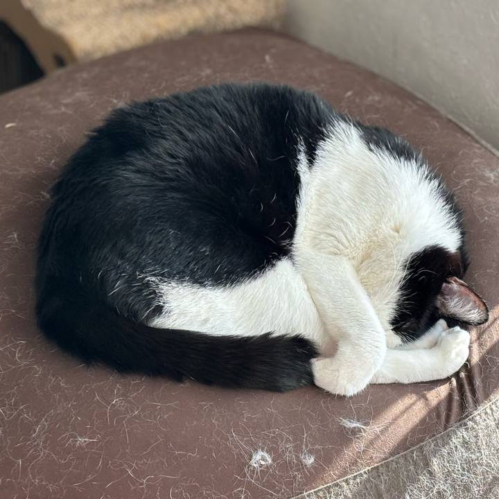 8362170f 7169 488c bbd4 ff4bfa2922e7 1769739267258