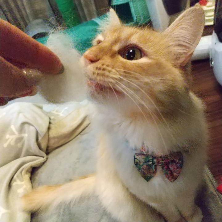 83625264 8d3d 427a b2c5 25abca731fac 1645180442960