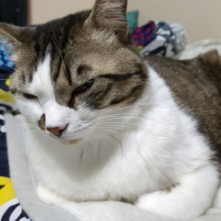 8362682a 1204 4729 9350 624774675c08 1675939879417