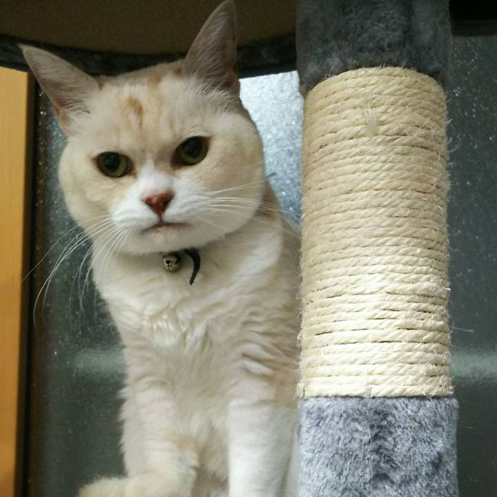 83628cef e6af 445f 9de3 560d73bf42ce 1527513629481