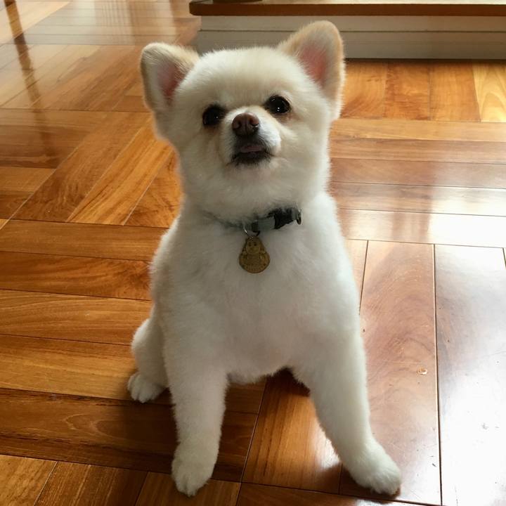 8362cb98 f038 4dda a57d d19ea0b716f3 1596537874846