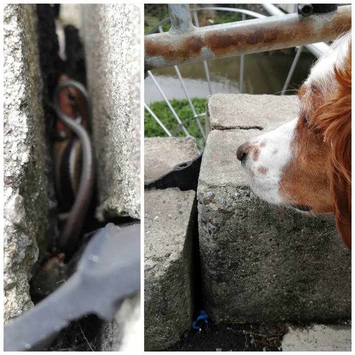 8362fbf3 84a1 49d4 aad6 1f893c290fb1 1593843243877