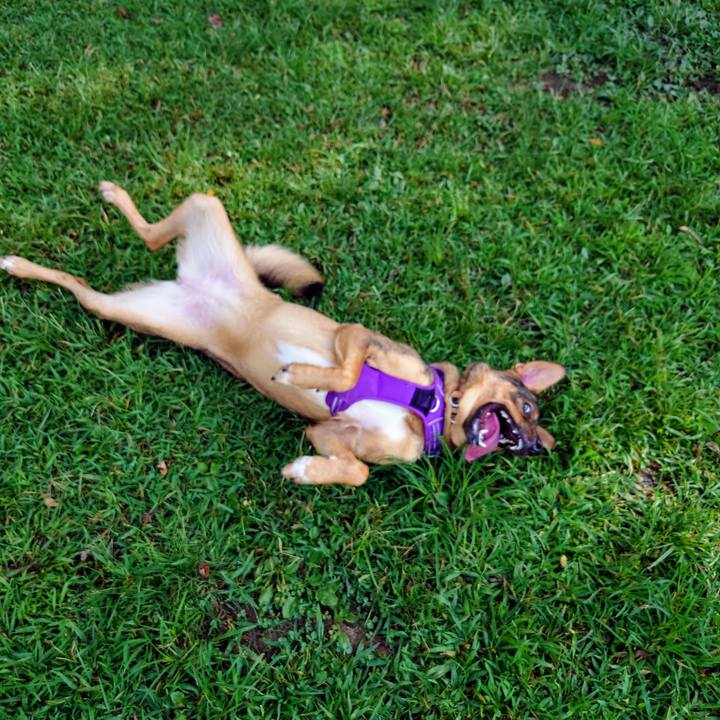 8362ff98 6b28 4ded 9d44 6203f2c8133c 1726360484481