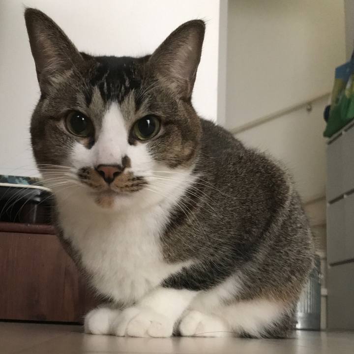 83632ee2 2933 435c b8d8 132821ea9525 1551225708775