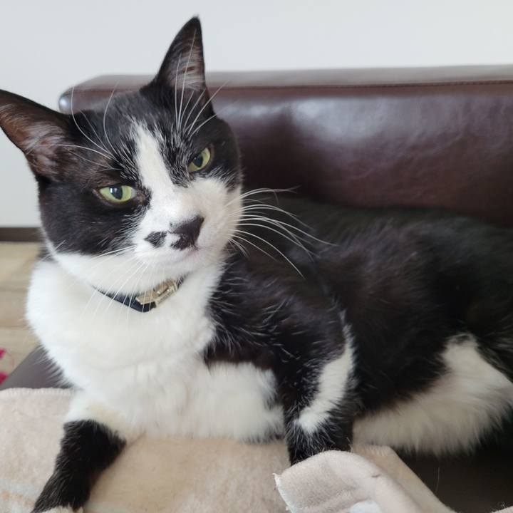 83632f8b ca4e 4243 ad14 7f89e87e237a 1737782818391