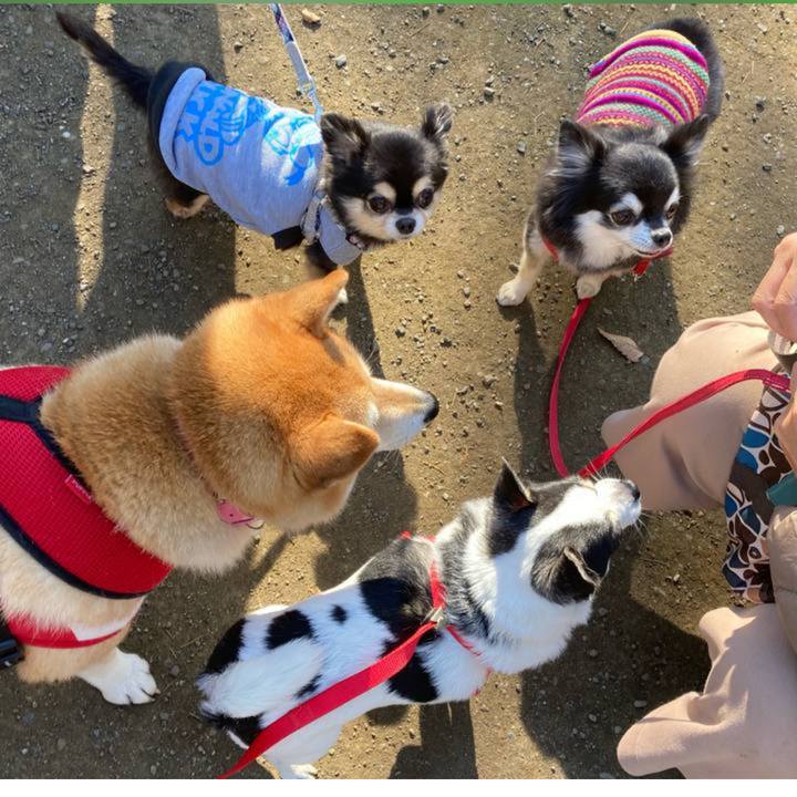 83634e89 1284 441d a379 bc131888a1bd 1695131237610