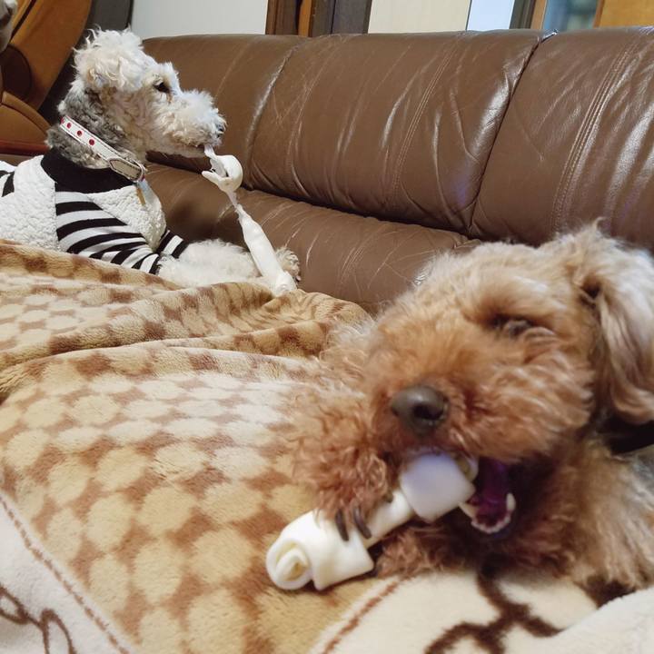 83636a8f eaca 4e5e 852b 6b45b74af484 1550752060488