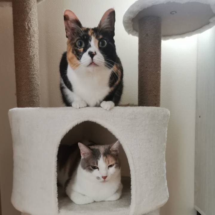 836392f9 68d7 4f43 b785 d7397e0fd9fd 1654932648181