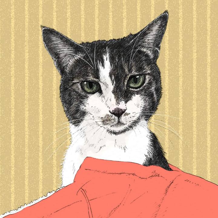 8363a2a0 c2d8 4028 971f 46eeabe45aad 1579361402538