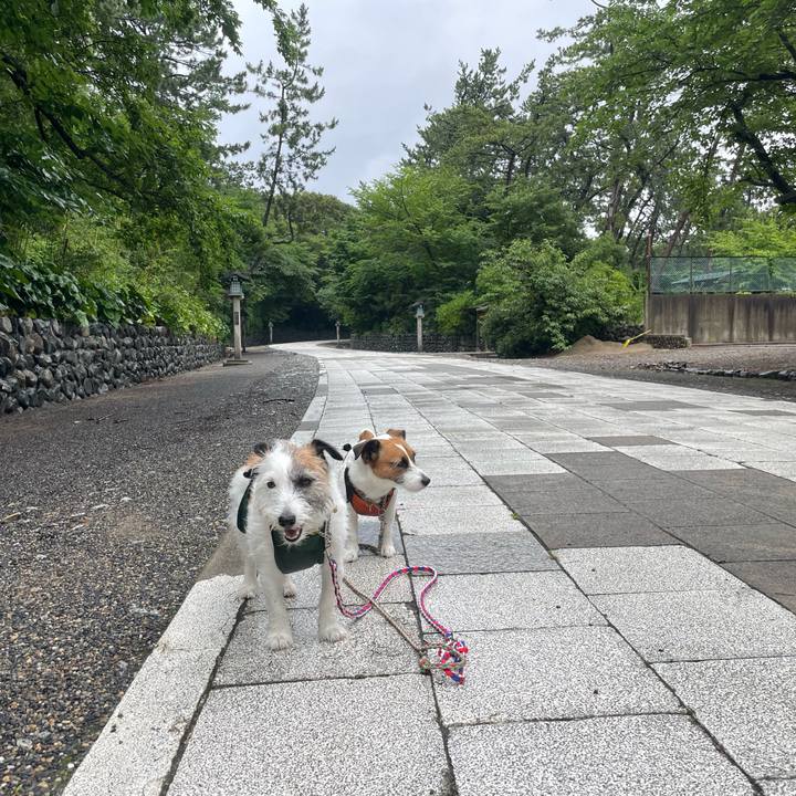 8363ad39 6495 4e94 9f87 c9abc01a58ba 1721178174882