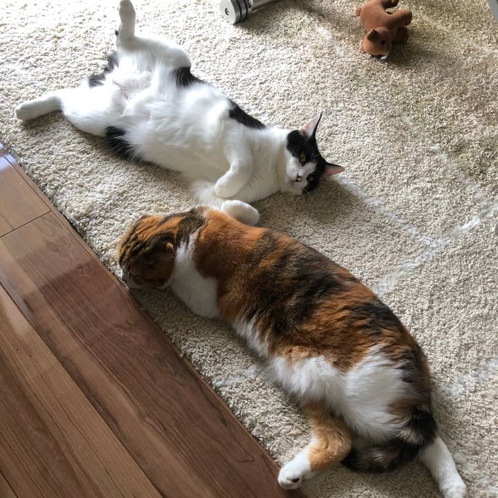 8363d7fe 6ae6 4be9 a205 5844686aa057 1631494438174