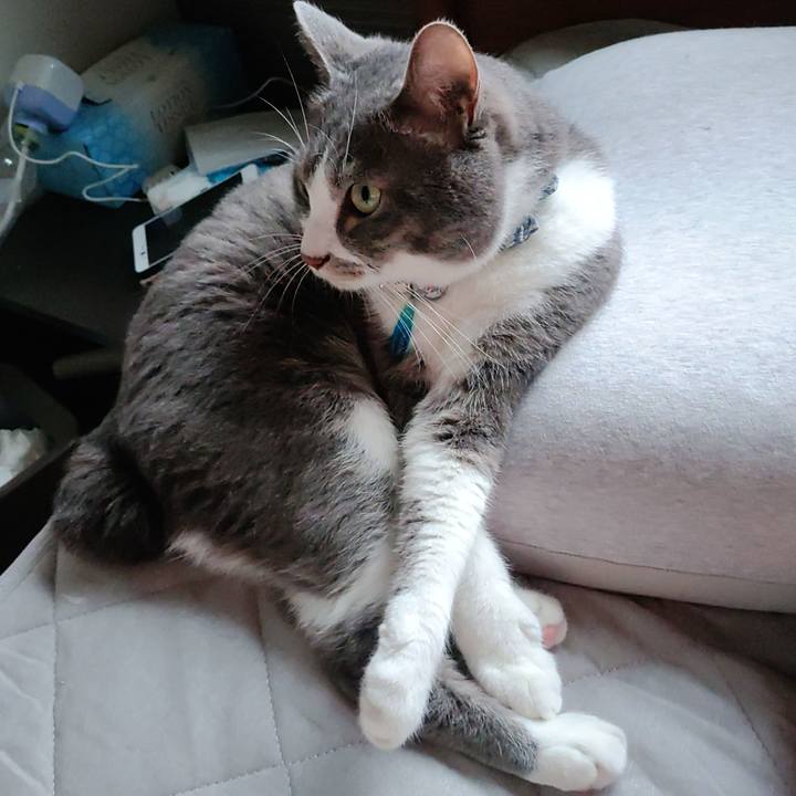 8363e6d6 e7e9 4e2f b946 f38d5a3b4c02 1685396813690