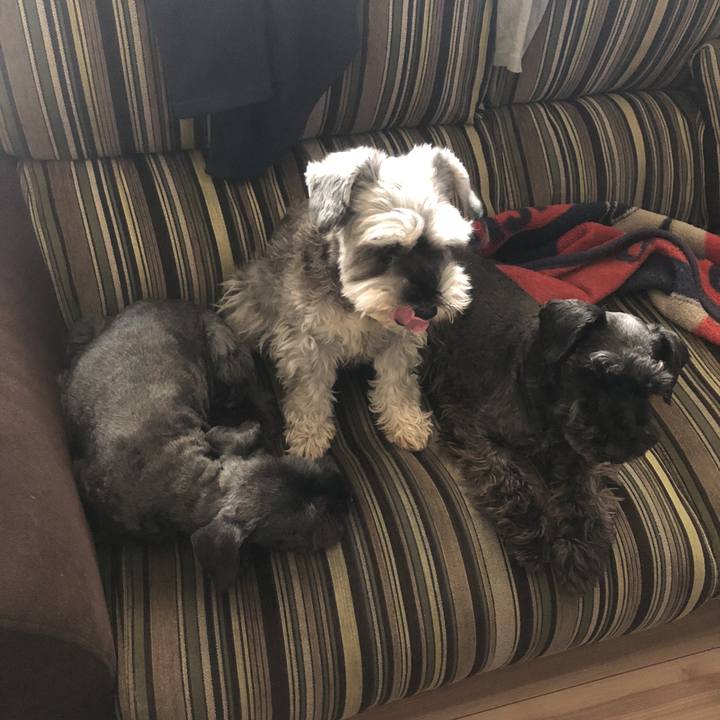 8364091b f25d 4702 bf1e 75e03979d312 1519444920499