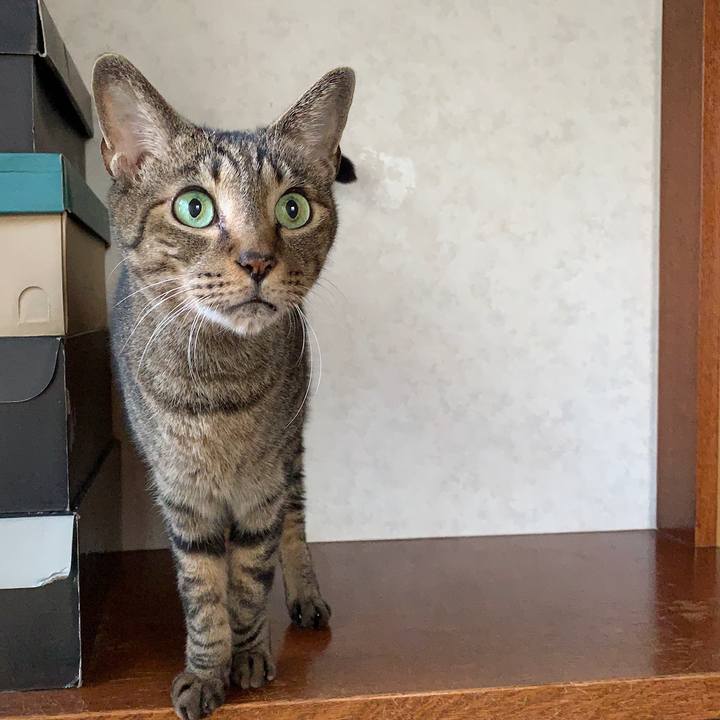 83642bbd bed1 4e46 afe1 1d1da59527db 1540257943941