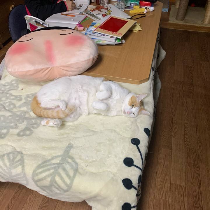 83643f3b aeba 4fd2 bc77 2787dab93f92 1582031960872