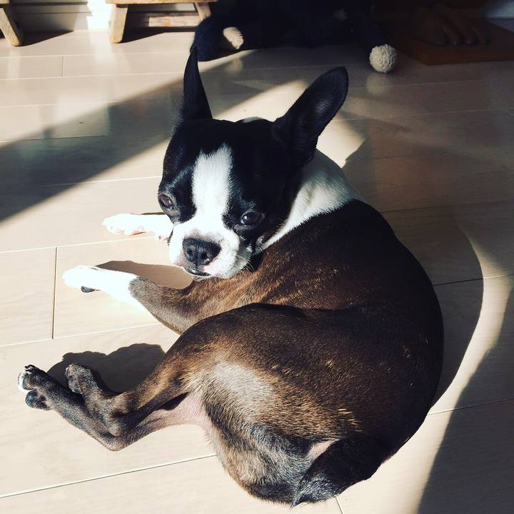 83644ecf 97b7 45f1 a5be b97da56e2b2a 1516760755893