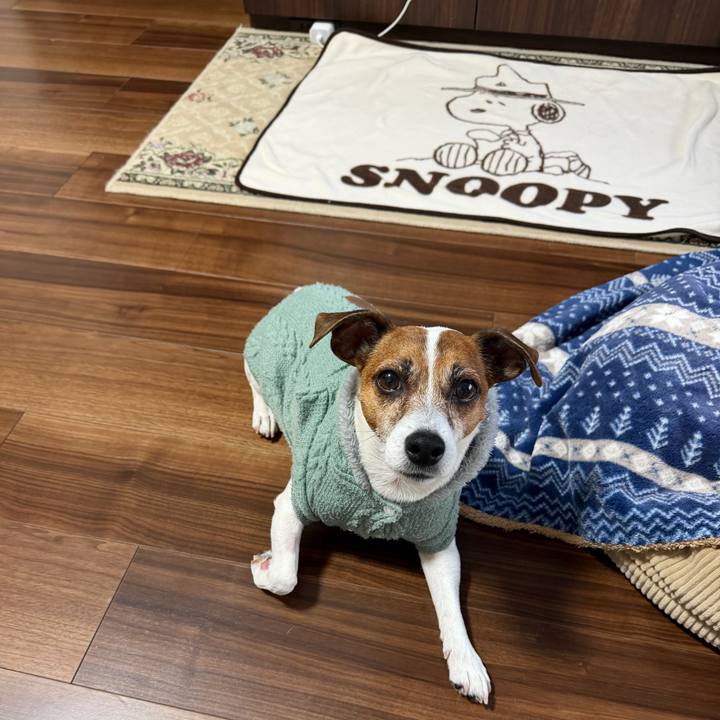 83645958 9bda 4122 bf32 fbb535ef628b 1772278628017