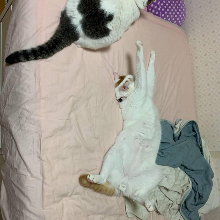 8364657e 1cd9 4865 9ec7 c0f6d95691ec 1589816551693