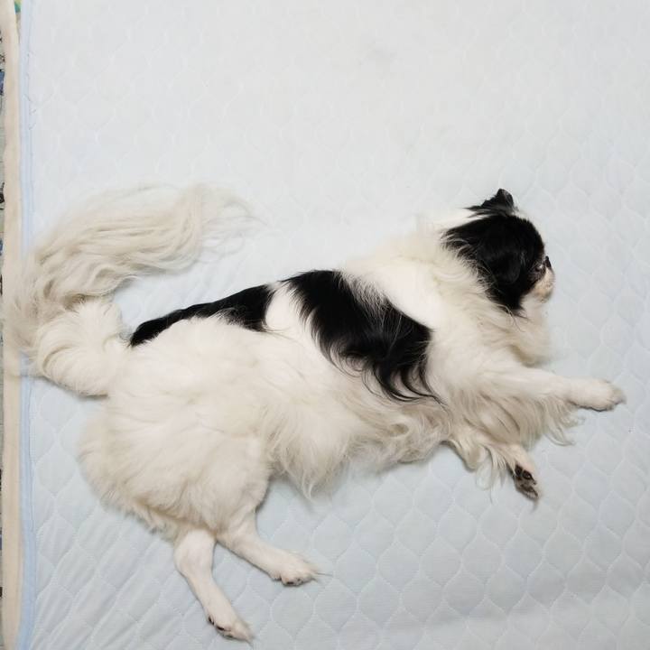 83648aba aae3 400b 9466 b3952cfb6573 1537875129765