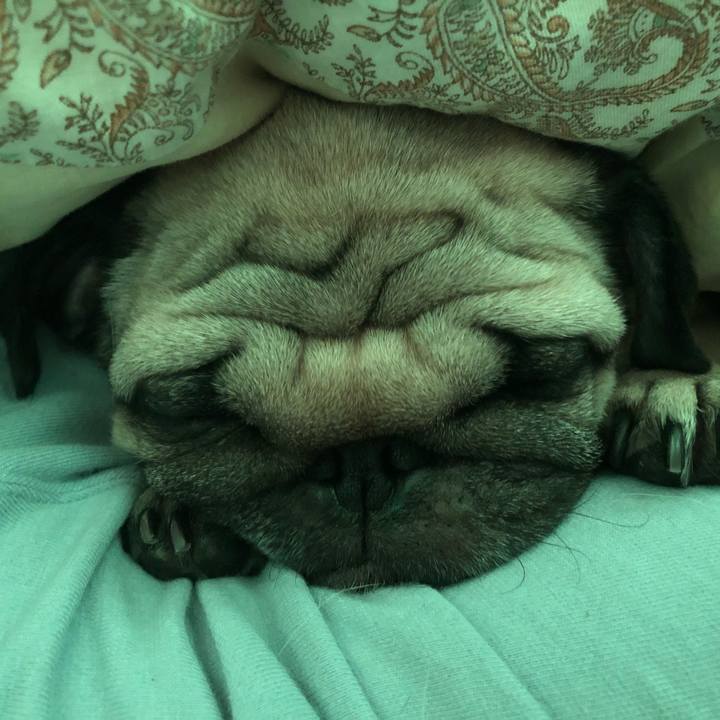 83649200 ac7f 40b1 8d48 44dfea7c33e2 1518870253726