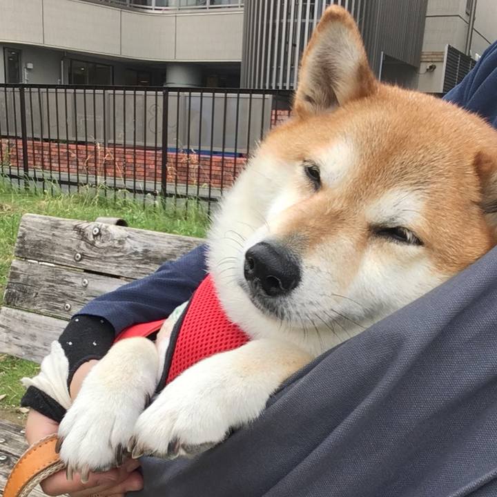 8364d342 e5d5 4092 94ec 51b33685ec2e 1593756564734