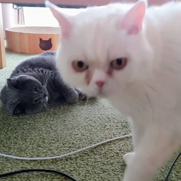 8364d67f 2858 490d 9bfa 900630f1db0d 1716005512640