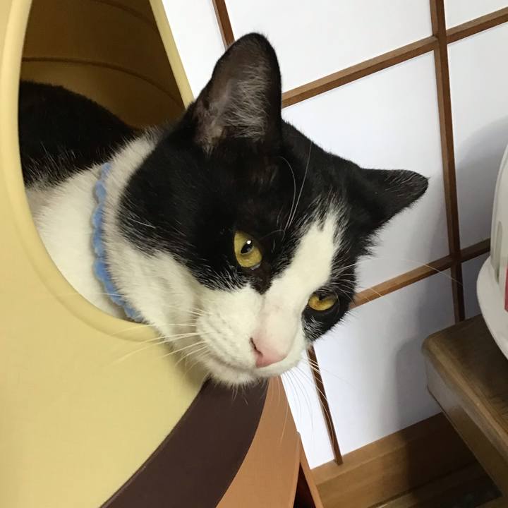 8364e0de 5a62 4eed 86db bc00906a6c7f 1659951646272