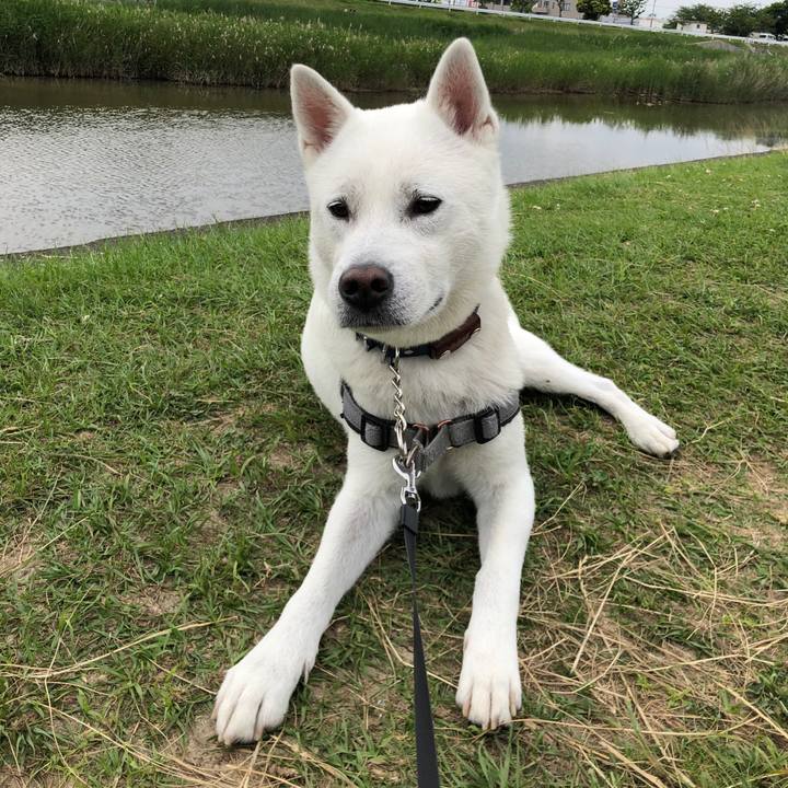 8364f557 f164 4850 87b5 e1cec787900e 1591185239987