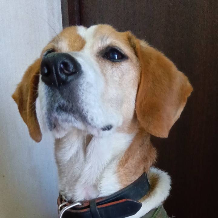 83651d2a dd6b 47c8 92c5 2c62127495ac 1716036668560